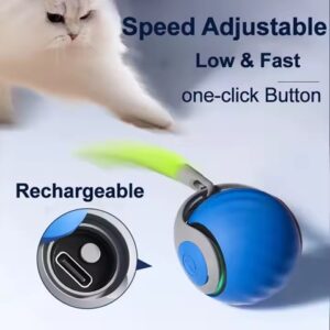 Turbo Tail Ball Cat Toy