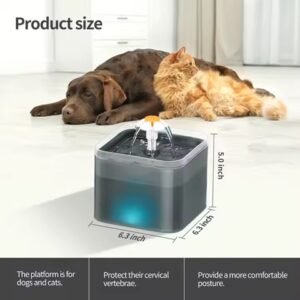 Pet Water Fountain